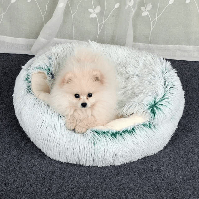 Huisdierbed: Comfort en Rust